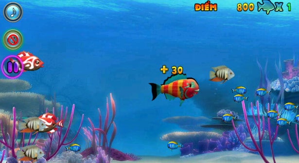 Hình ảnh game ca lon nuot ca be in Cá Lớn Nuốt Cá Bé Hình ảnh game ca lon nuot ca be in Cá Lớn Nuốt Cá Bé