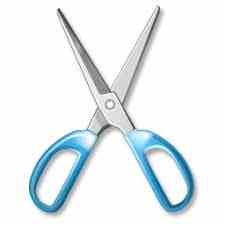 NetCut icon
