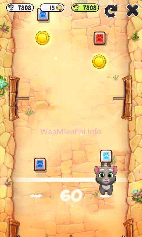 Hình ảnh tai game meo Tom in Mèo Tom Hình ảnh tai game meo Tom in Mèo Tom