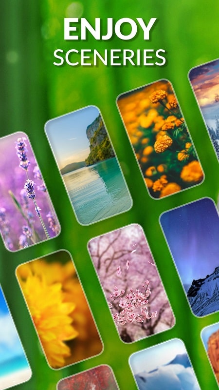 Hình ảnh game mien phi techvui in Game miễn phí Techvui